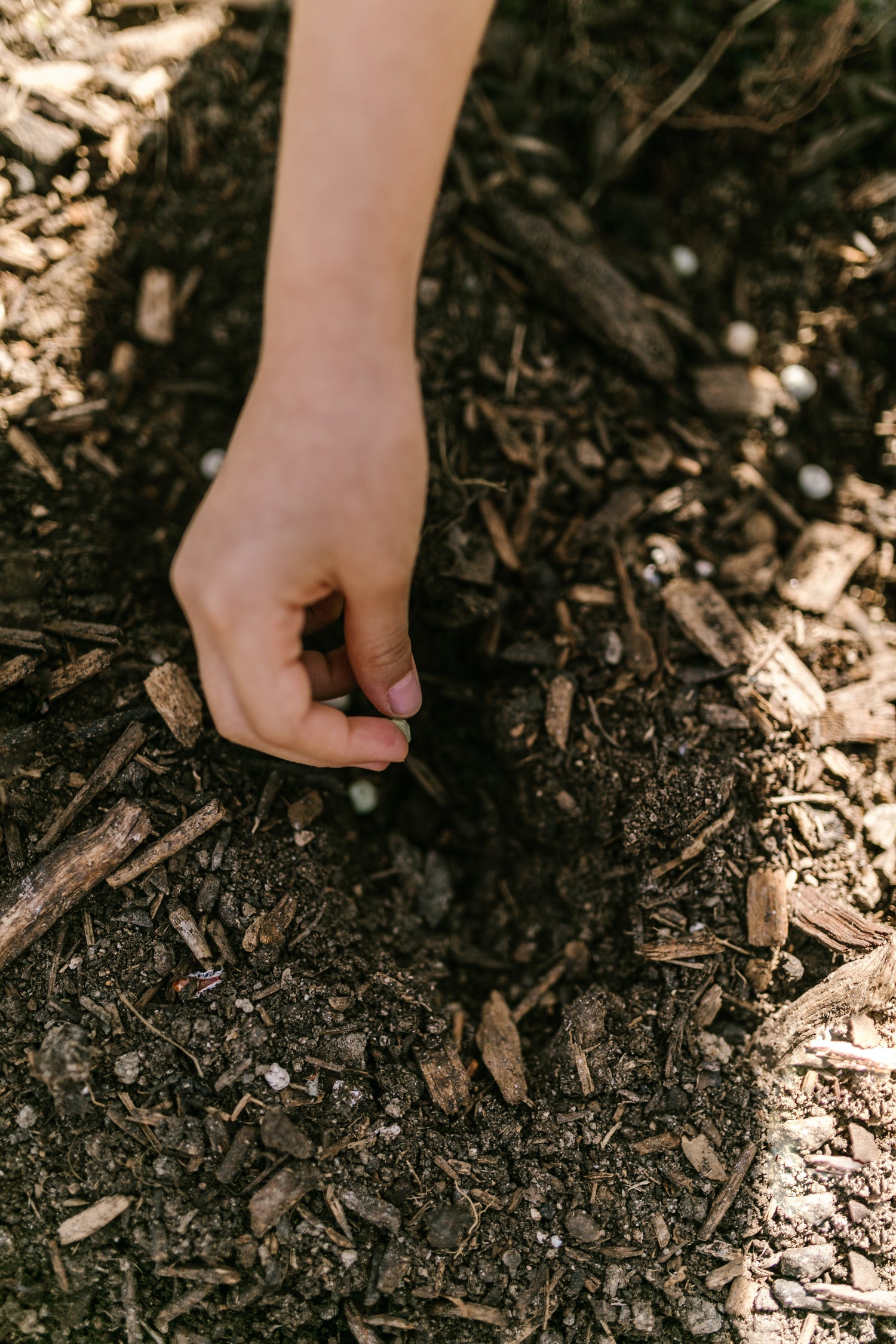Roots of Cacao | Begin jouw dag met een dagelijkse portie of gebruik de cacao voor ceremoniële doeleinden om (weer) contact te maken met jezelf, met je kern en met dat wat écht belangrijk is in je leven.
