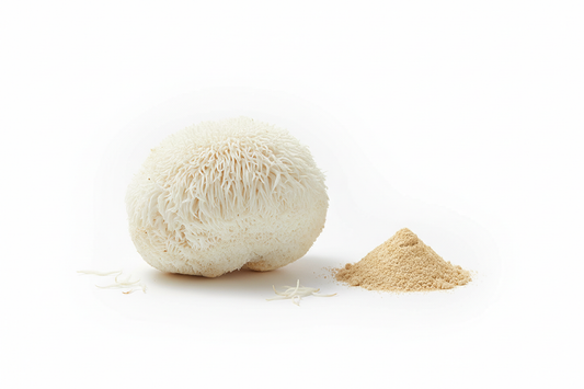 met wat lion's mane poeder erboj